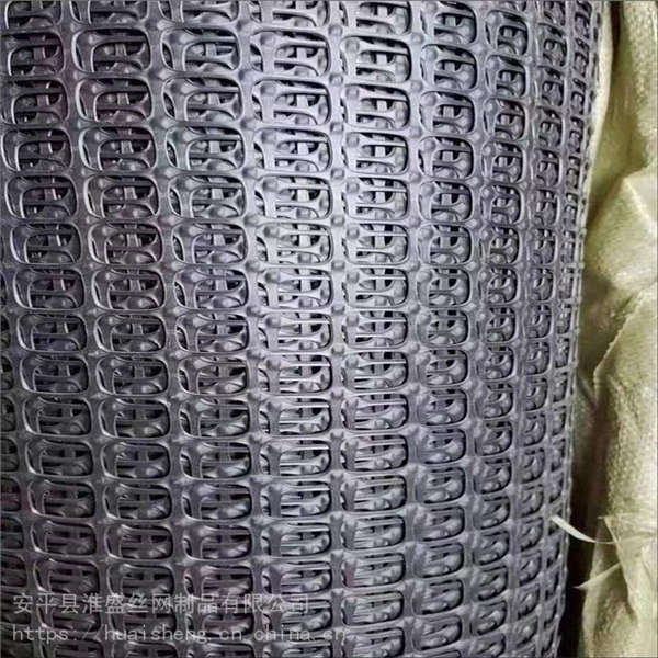 黑色方格魚塘圍欄網(wǎng) 3公分塑料防護網(wǎng) 圈果園菜園護欄網(wǎng)泓宸輝